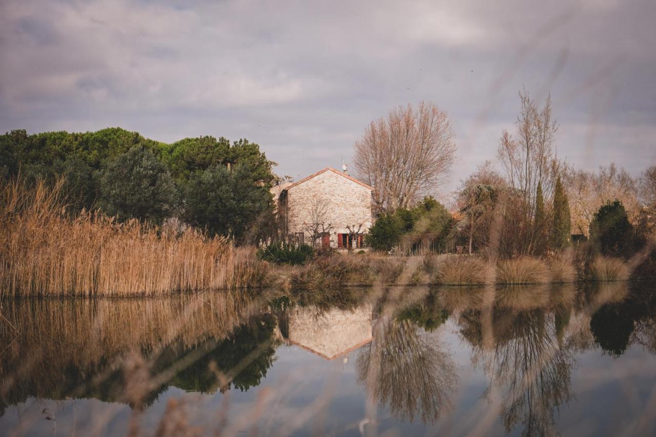 Waya A Domaine Saint Domingue Bed and Breakfast Ναρμπόν Εξωτερικό φωτογραφία